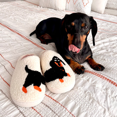 Dachshund Slip-on Slippers