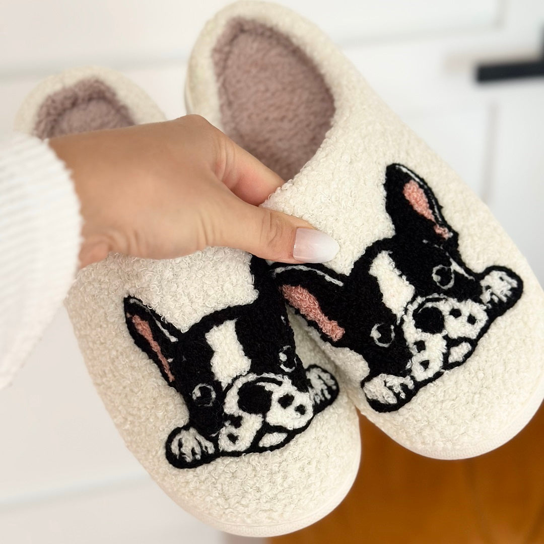 Chaussons Boston Terrier