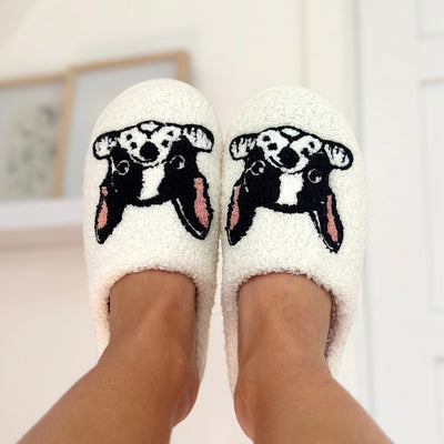 Boston Terrier Slippers