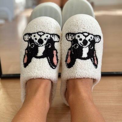 Chaussons Boston Terrier